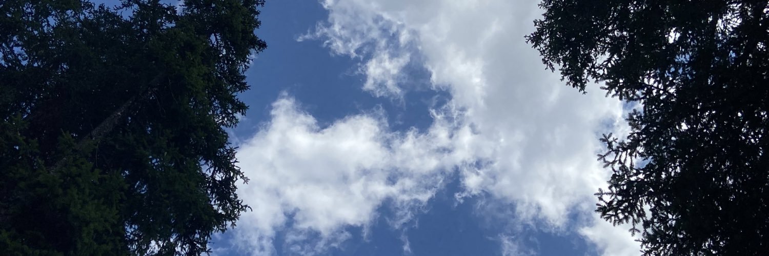 to0fi19's profile banner image