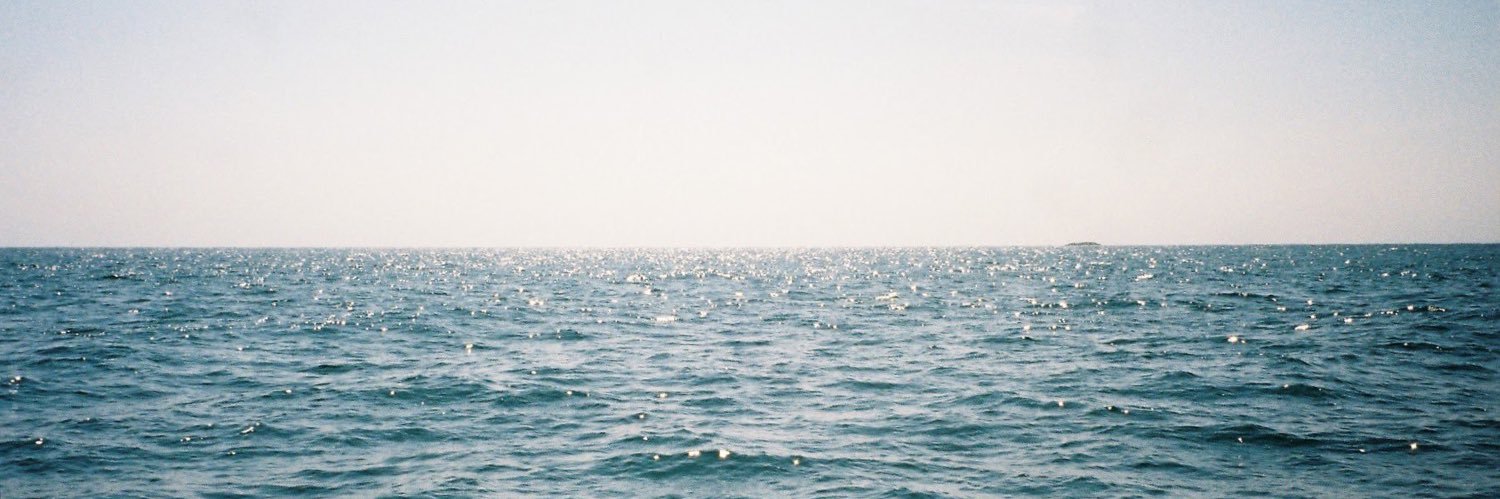 duckk banner