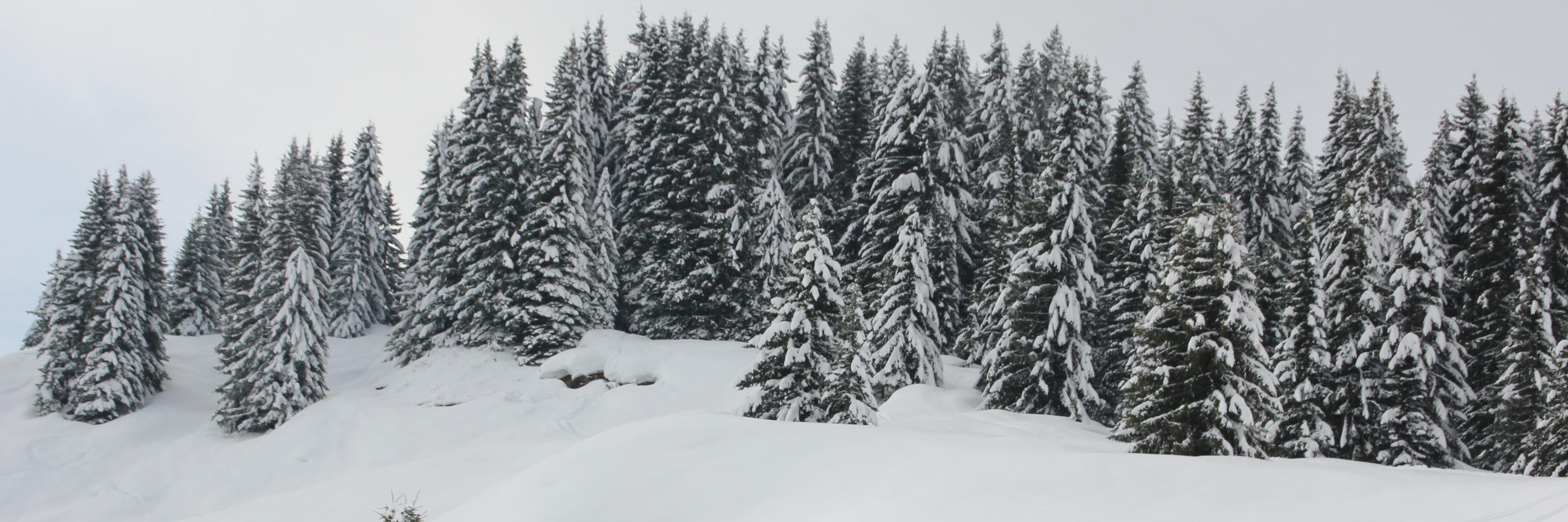 chaletpomet's profile banner image