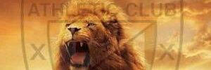 ;)pili banner