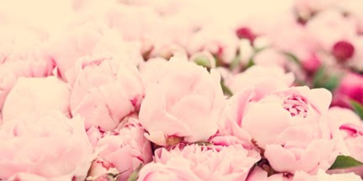 MrsCrouse4's profile banner image