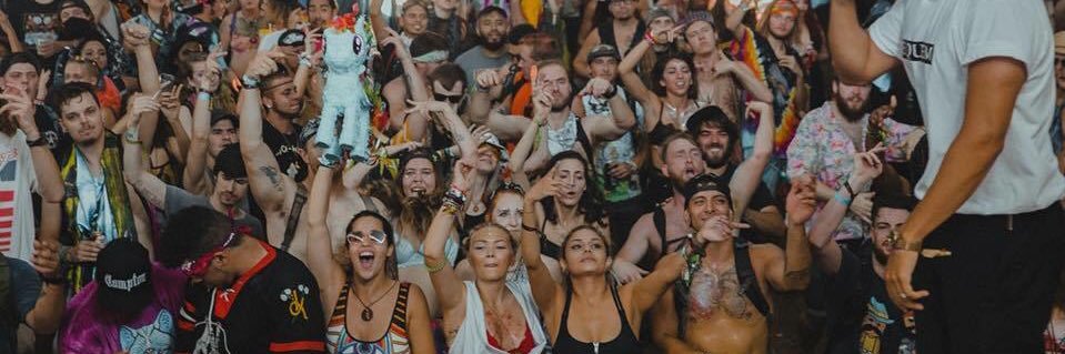 nin_palazzolo's profile banner image