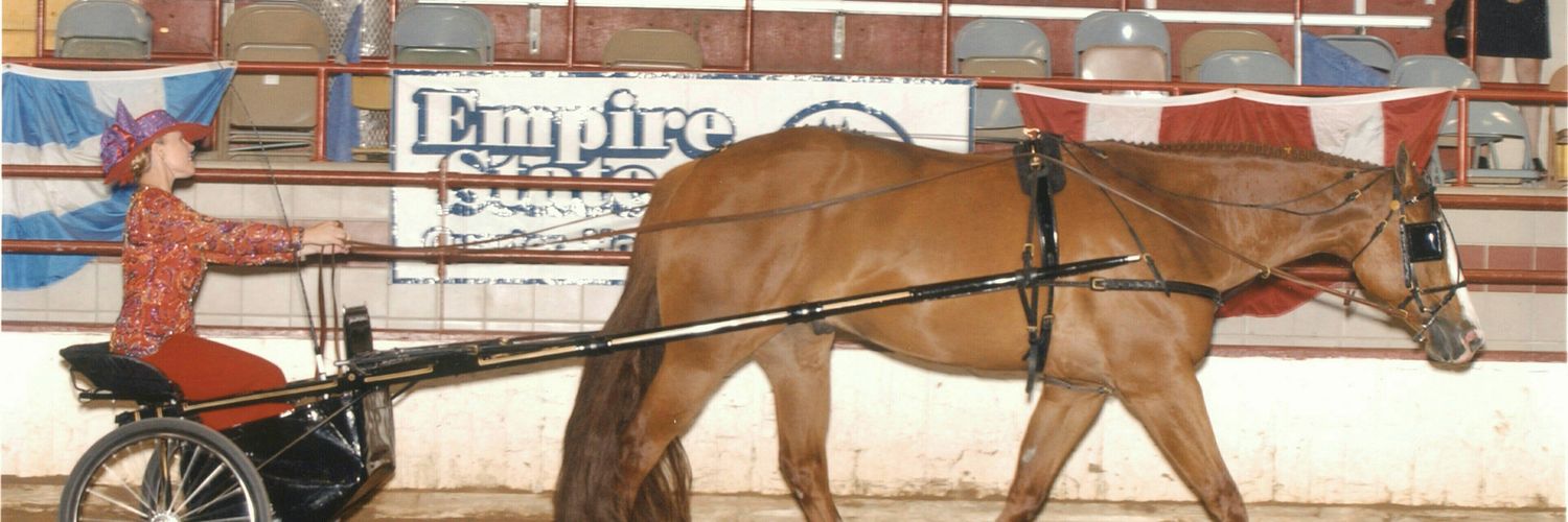 Connie Smith Hartman banner