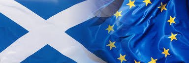 ShazForIndy's profile banner image
