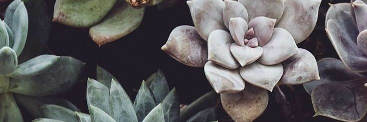 Salebyee_'s profile banner image