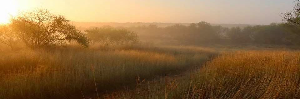 Austin C Robert banner
