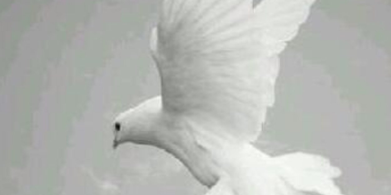 abugath1433's profile banner image