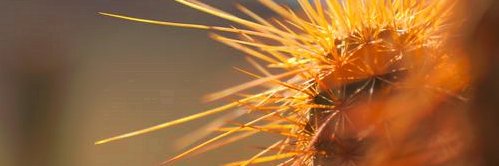 twitzblue's profile banner image
