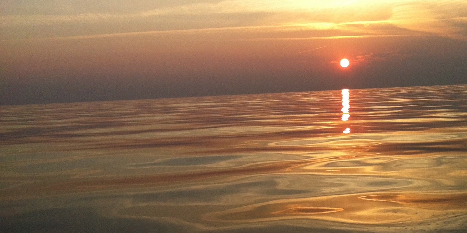ottaviomissoni's profile banner image