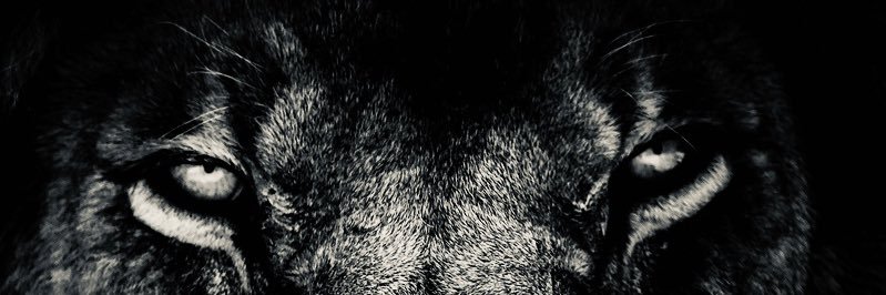 LaloSepulveda's profile banner image