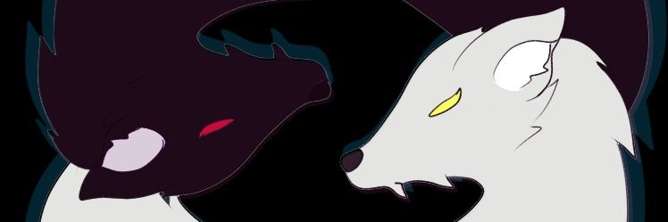 jordykill10's profile banner image