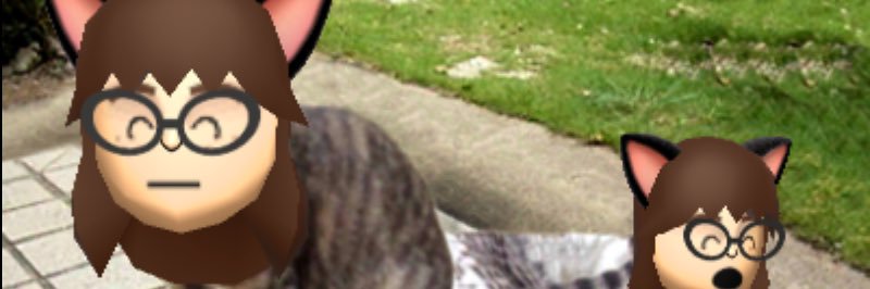 choco ♡ banner