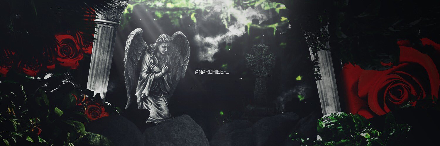 Anarchiiee banner