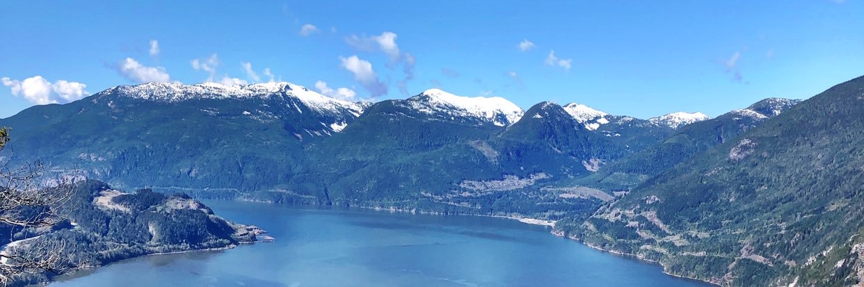 caroline mccarthy 🦝 banner