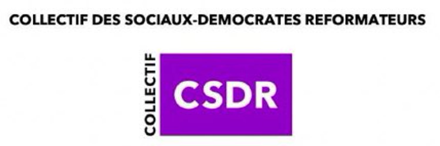 Fabienne Mignot #NouvelleSocialeDémocratie banner