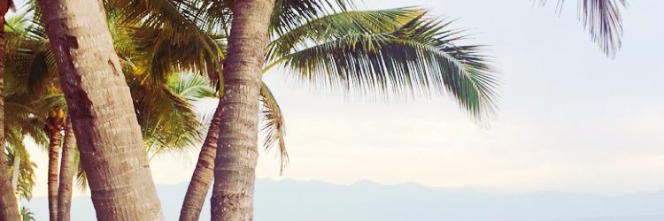 Mattea_Pav16's profile banner image