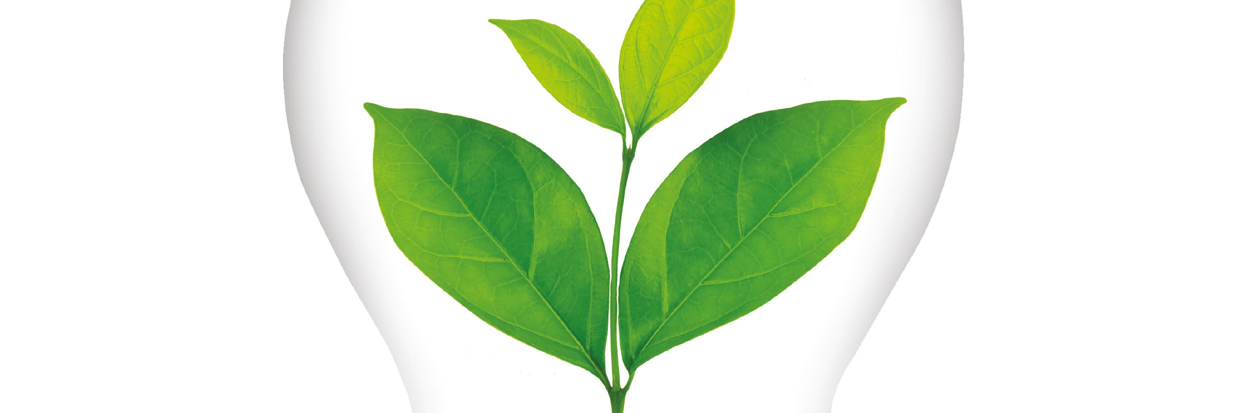Plant Direct Journal banner