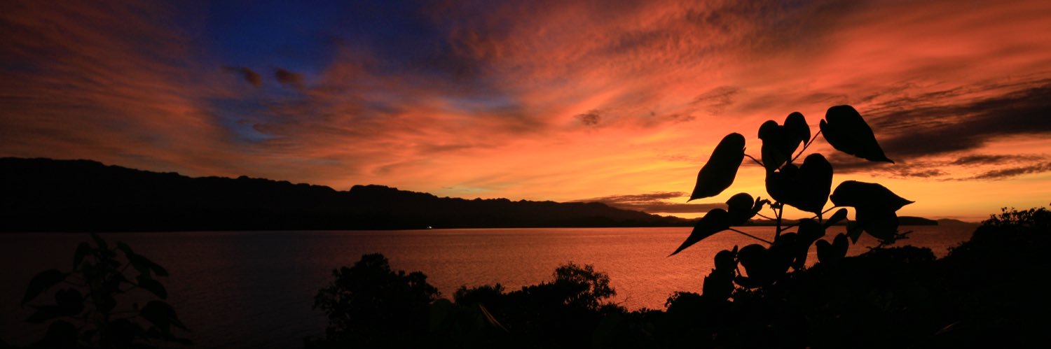 Jeffrey Weichsel banner