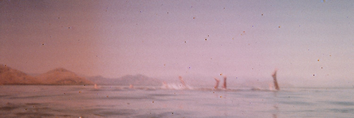 stepaola's profile banner image