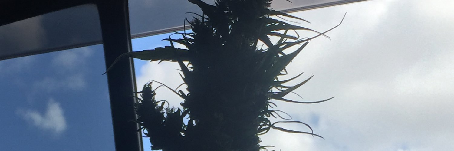plugsec12's profile banner image