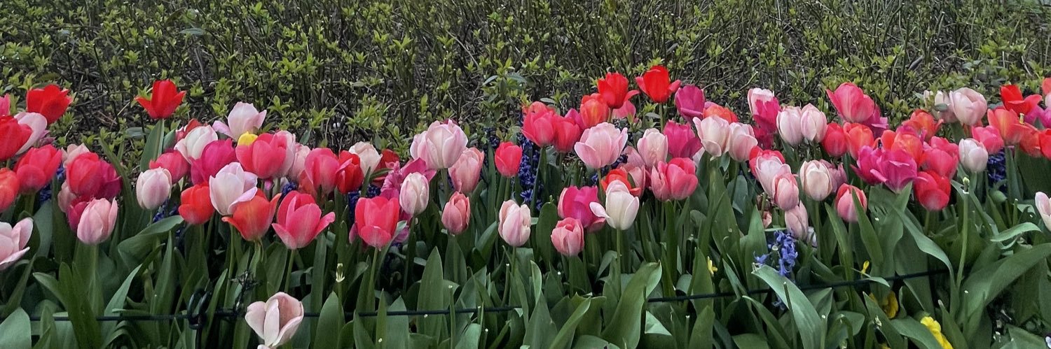 in(Jess)icive banner