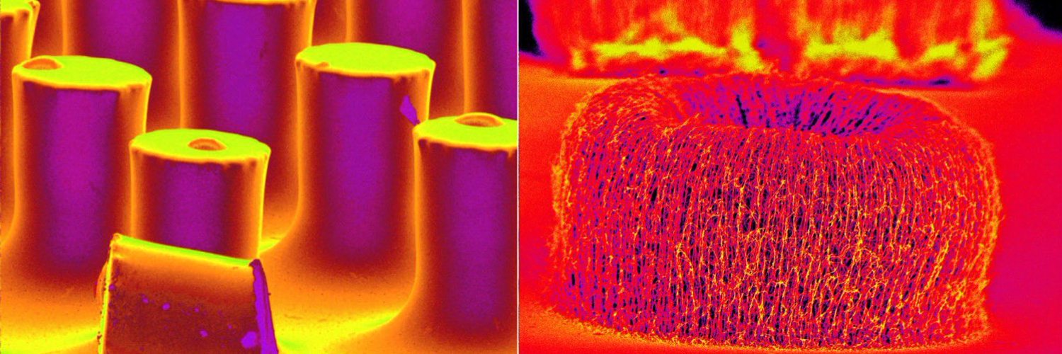 Prof. Pola G. Oppenheimer banner