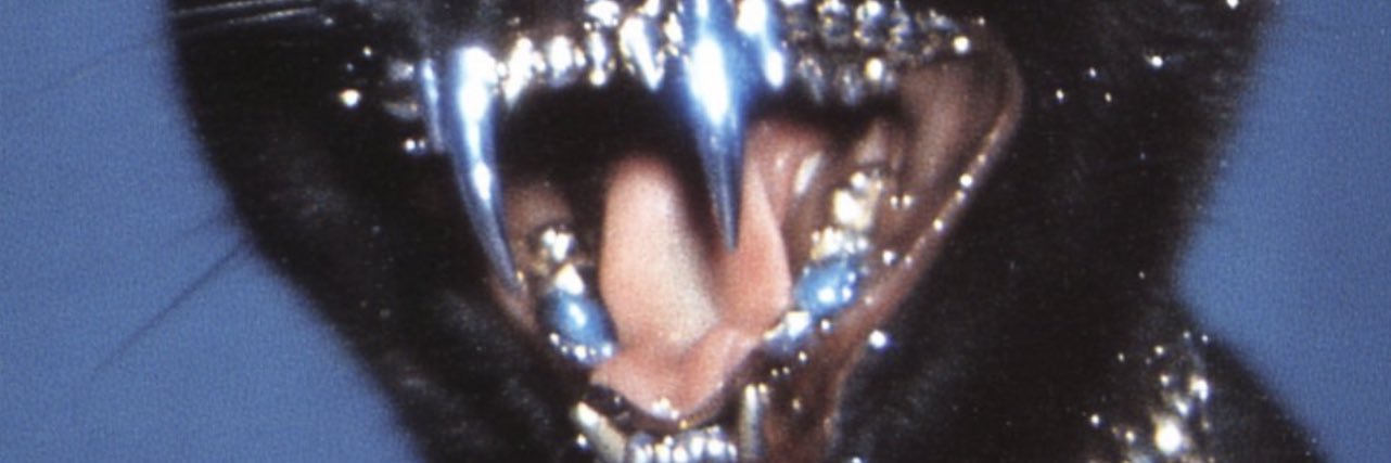 FUPAYM3_'s profile banner image
