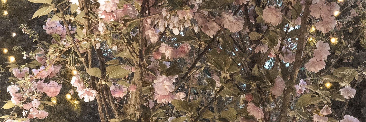 daphnedevera's profile banner image