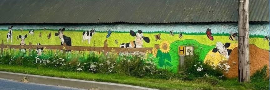 Knockmoules Holsteins banner