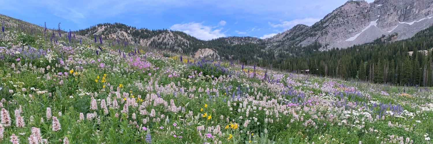 Shannon Connor Phillips (she/her/hers) banner