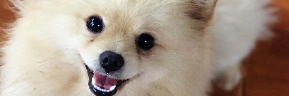 MaguiOjeda1's profile banner image