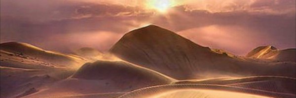 frantoniomaria Profile Banner