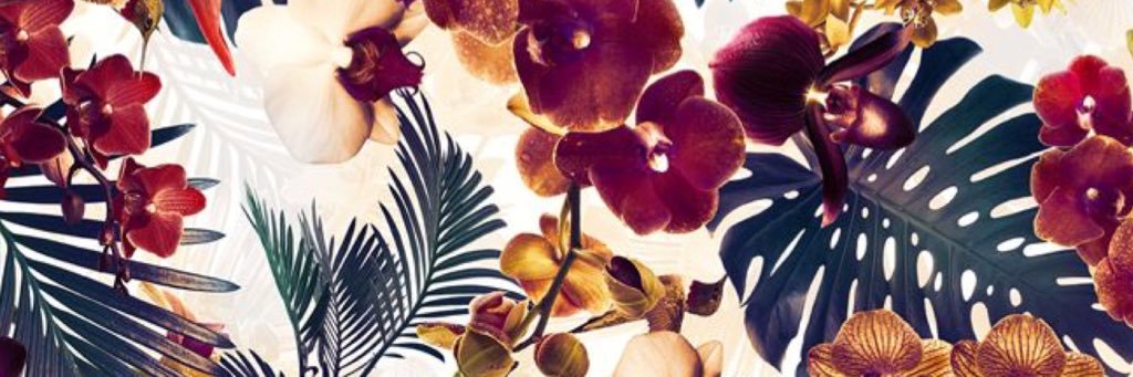 CelesteTheBest_'s profile banner image