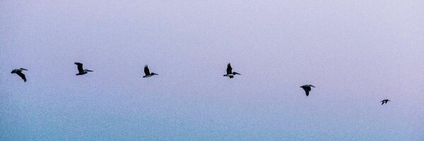 evasoncin Profile Banner