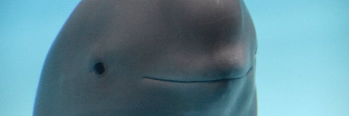 actualjack's profile banner image