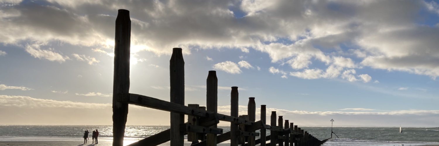 Lois 🇬🇧 banner