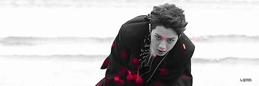 𝙿𝚞𝚖𝚙𝚞𝚒@부이 banner