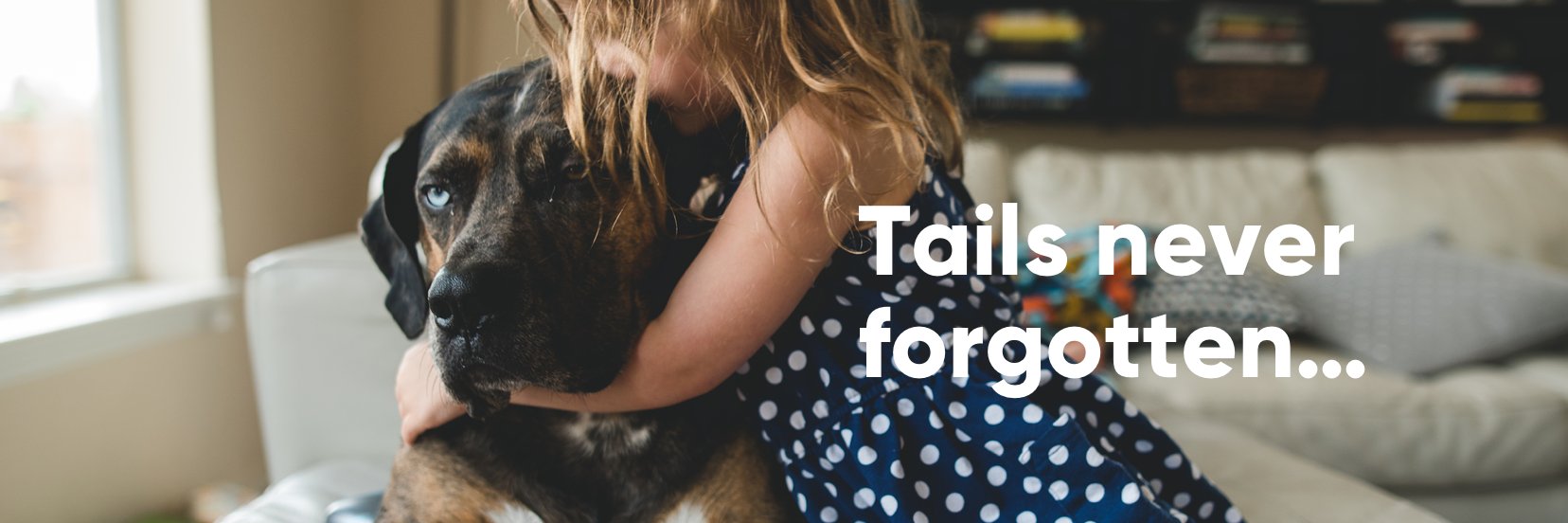 pets_forever's profile banner image