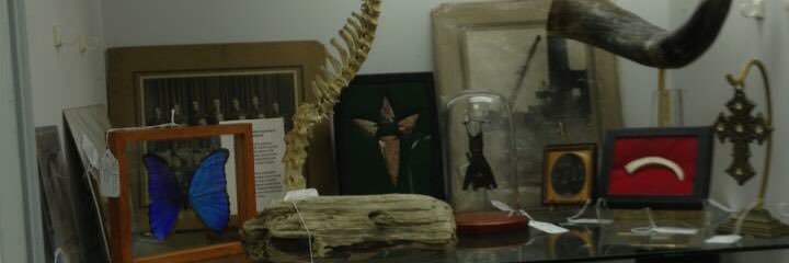 AntiqueOddities's profile banner image