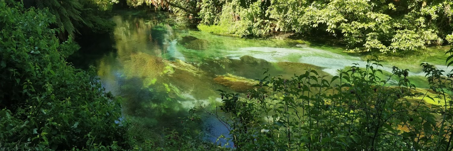 Forest DLG | Telemachus banner