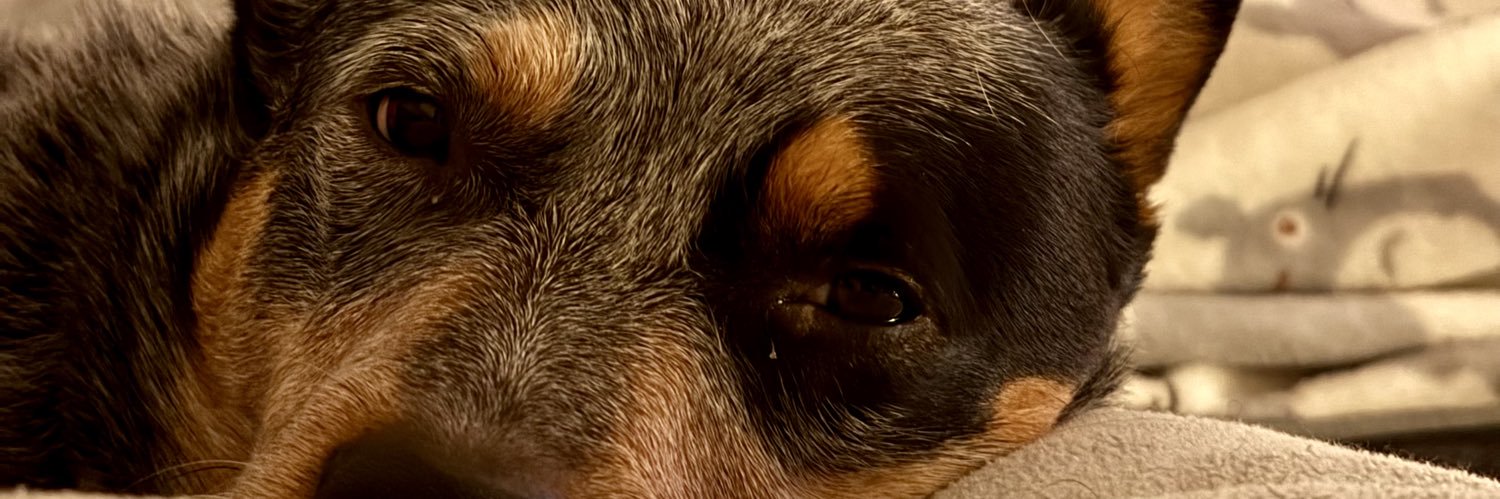 bassgenerator's profile banner image