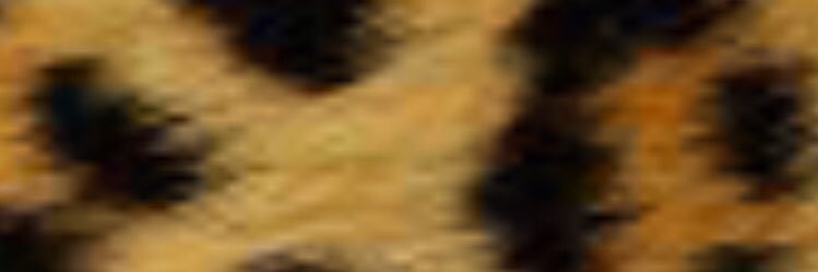 RaeeRaeee's profile banner image