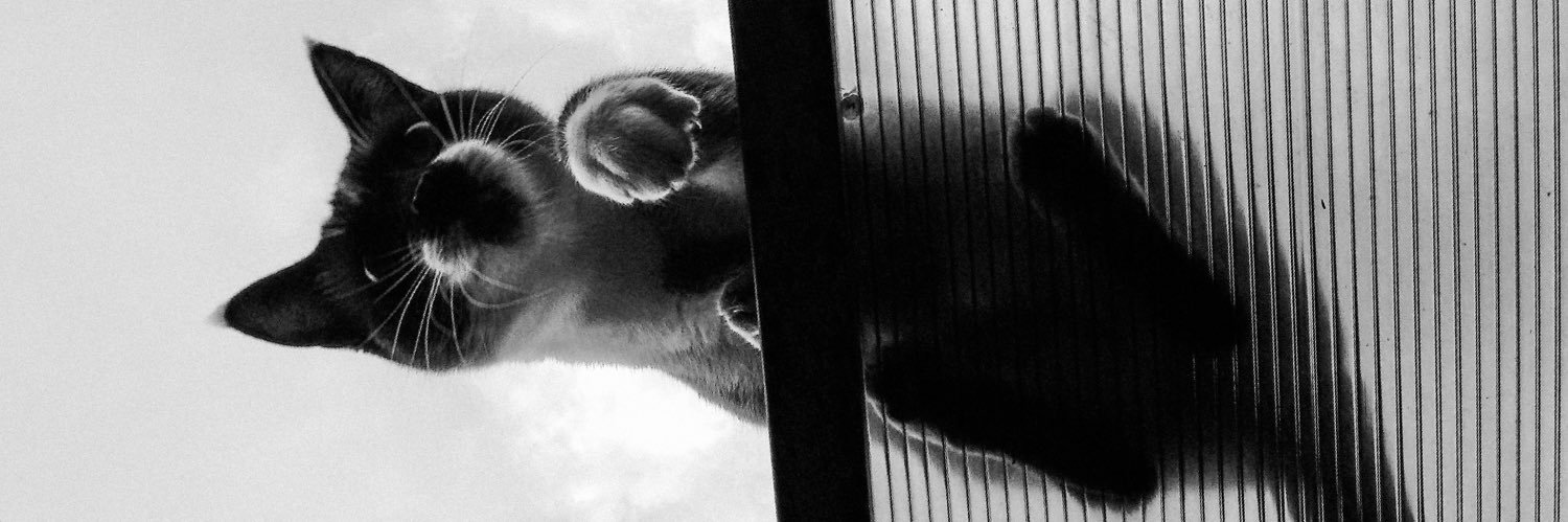 LUANA VAI VER O BTS banner