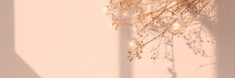 xnatgc's profile banner image