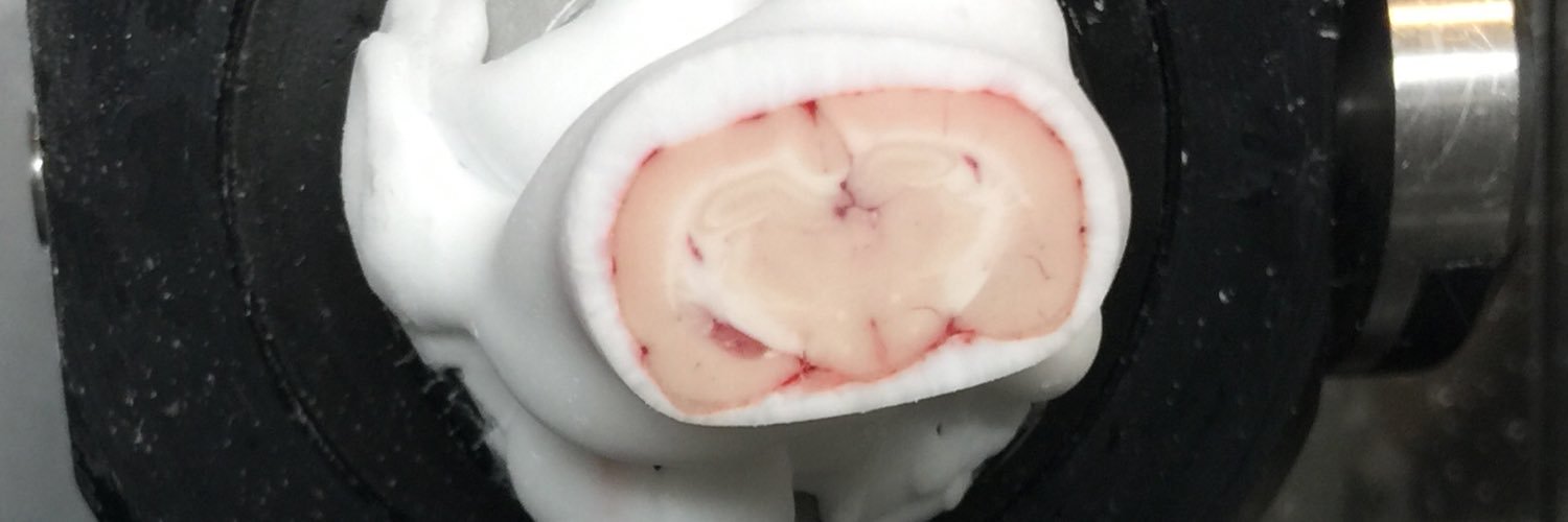 Rachel Sutherland banner