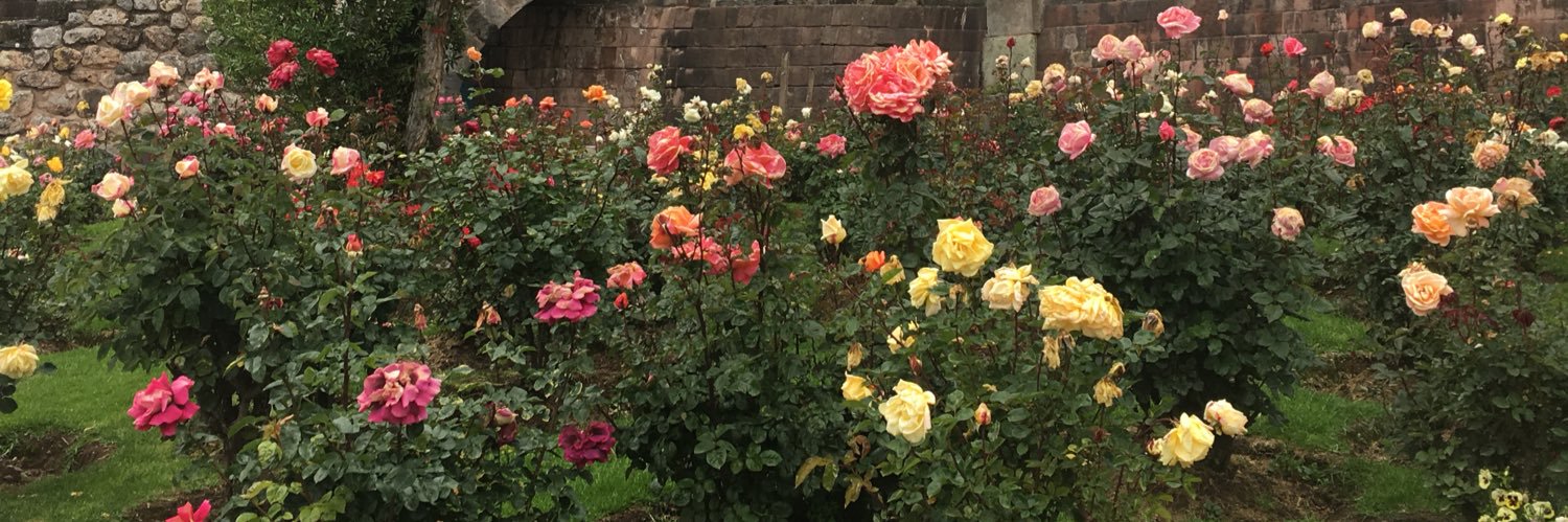 adeline_murphy's profile banner image