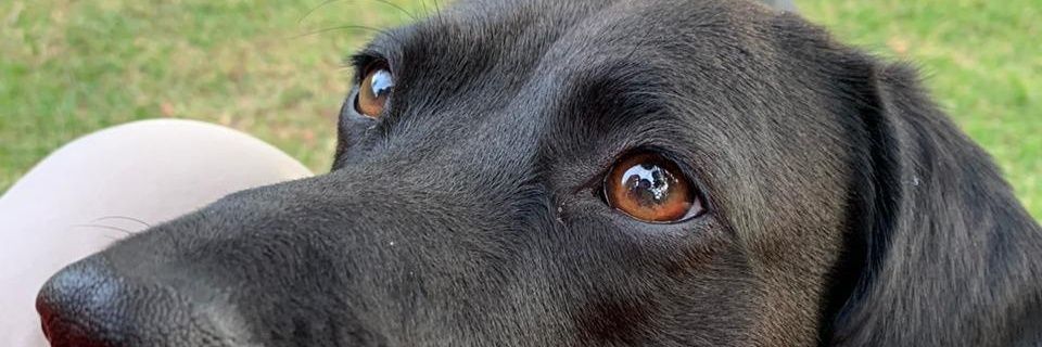 bsfederico's profile banner image