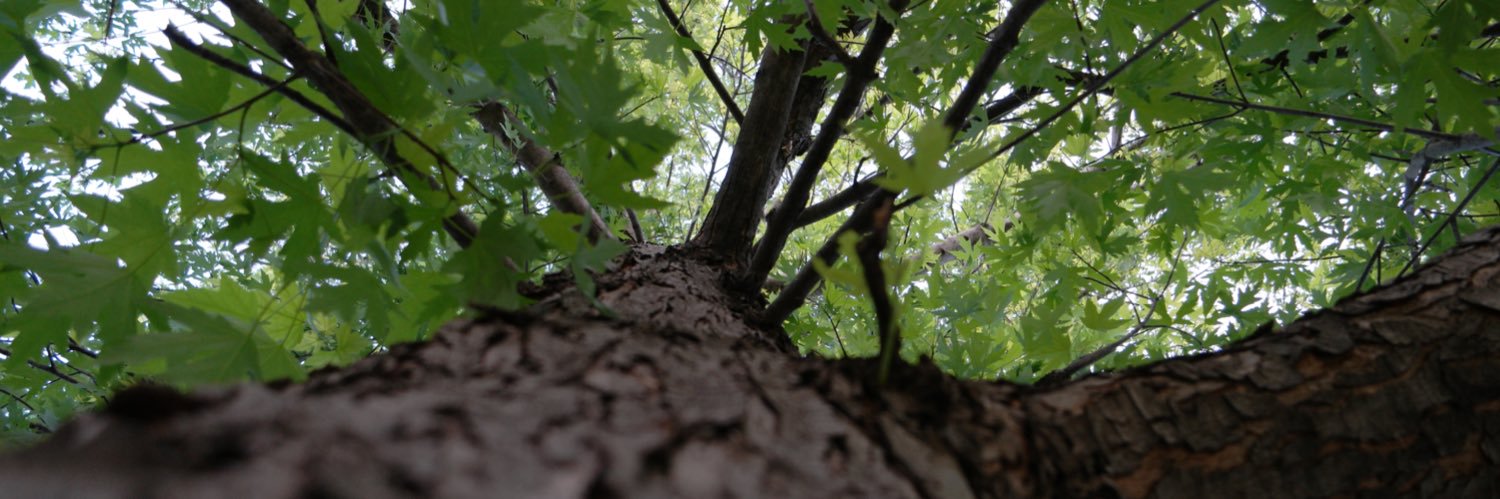 RandomxPedro's profile banner image