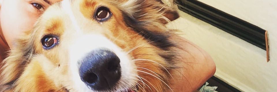 baguita93's profile banner image
