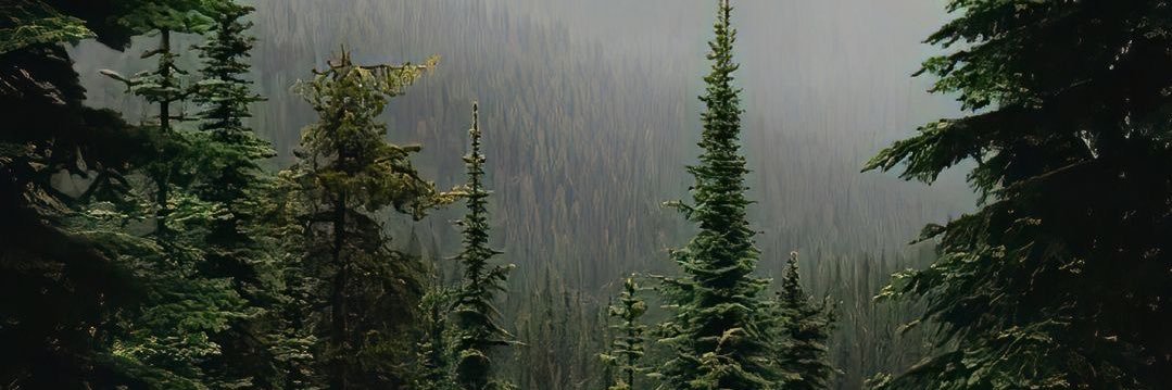 ___heymich's profile banner image